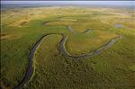 Okavango Delta